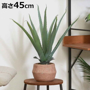 tFCNO[ AG 45cm Zg|bg i ϗtA tFCN lHϗtA  A A A[gO[ sv ȒP rO  CeA O[ ͂