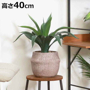 tFCNO[ AKx 40cm Zg|bg i ϗtA tFCN lHϗtA  A A A[gO[ sv ȒP rO  CeA O[ ͂