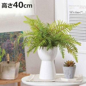 tFCNO[ V_ 40cm Z~bN|bg i ϗtA tFCN lHϗtA  A A A[gO[ sv ȒP rO  CeA O[ ͂