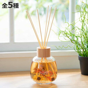 [hfBt[U[ B-nature r[lC`[ 530ml i fBt[U[ A}fBt[U[ KX F  XeBbN n[oE [tOX A} tOX  