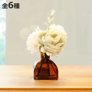 [hfBt[U[ B-nature r[lC`[ t[u[P[hfBt[U[ 100ml i fBt[U[ A}fBt[U[ KX F  [tOX u[P  A