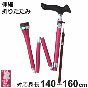  邪 XebL [^[ ܂肽   i 5iK ܂ RpNg Ռz  cG A~ ԕ Oo U ɂ オ₷ オ⏕ ]