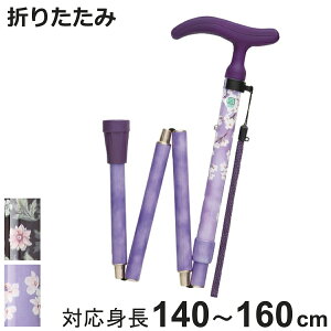 ܂肽 O[X  j  v[g RpNg i  cG 肽 _ 5iK Ռz A~ SG}[N T A~ 2.5cmsb` Oo U ɂ