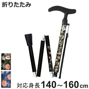  ANeBuO[X ܂肽 y XebL    i 10iK  A~ A~ SG}[N Oo U ɂ オ₷ オ⏕ ]|h~ 