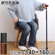 杖 折りたたみ ベーシックE 軽量 女性 男性 おしゃれ プレゼント （ ステッキ レディース 折り畳み アル…