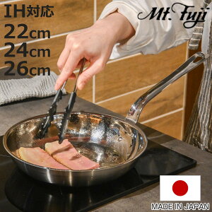 tCp 22`26cm IHΉ A~NbhOw ̓ { i KXΑΉ A~ XeX y Y 3w\ ~[dグ y M` El d {i jy3980~ȏ㑗