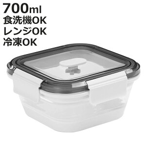 �ۑ��e�� 700ml Felio �����߂�V���R���ۑ��������`BOX �p�^ �i �v���X�`�b�N �V���R�� ���� �܂肽���� �d�q�����W�Ή� �H��@�Ή� �ⓀOK ���e�� �ٓ��� ���ٓ��� �����`�{�b�N�X �H�i�ۑ�