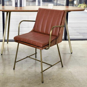 _CjO`FA It ɂ w VRv  ʍ48cm i `FA ֎q H rO _CjO fXN`FA U[ S[h ^J ؖ AeB[N B