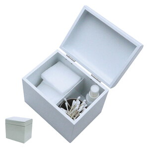 RbgP[X X`[ 16x12x14cm LOOSE STYLE O[ i Rbg{bNX Rbg Ȗ_P[X Rbg Ȗ_  CN XLPA CN lC CeA [P[X d