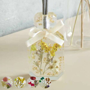 fBt[U[ A} hCt[ i [tOX A}fBt[U[ F tOX  rO  L XeBbN  u fBXvC fR[V 