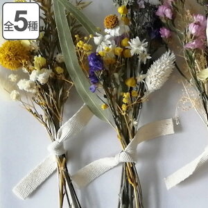 hCt[ Arrange Bouquet i u[P ԑ ~jTCY XbO Ǌ|  CeA  Mtg 蕨 v[g  ݂邷  CeAG a ̓ LO j h