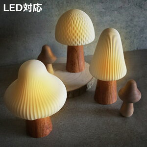 e[uCg Lumo LEDt Z~bN }bV[ i ^C}[@\t CeA Cg Ɩ  LED R[hX dr u^  ̂ RpNg  킢  k