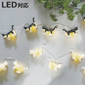 K[h LUMO LEDt L i dr 180cm CeA Cg Ɩ  C~l[V LEDCg t d  ˂ 킢  jy3980~ȏ㑗z