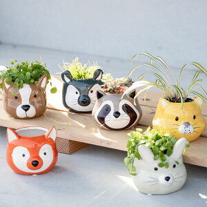 v^[ Aj} |bg i Aؔ vg|bg  A  񂹐A   ی^ ~j  ꌊ | CeA t[|bg K[fjOpi  j y3980~ȏ