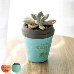 v^[ A|e t[|bgD STCY i Aؔ vg|bg Zg|bg   A Zg |bg   CeA t[|bg Aւ  