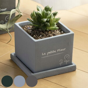 v^[ v`t[ XNGA|bg M i Aؔ vg|bg A  񂹐A \[T[ 󂯎M t A[XJ[ p^ ꌊ | CeA t[|bg K[fjOpi 