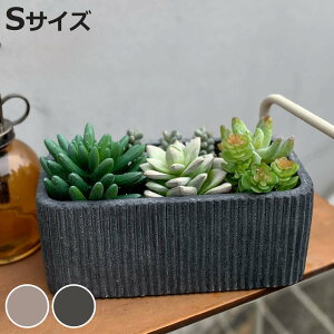 Aؔ `_ Ng|bg S K[f|bg i vg|bg v^[|bg  A Zg |bg  t[|bg  CeA Aւ  ϗtA 