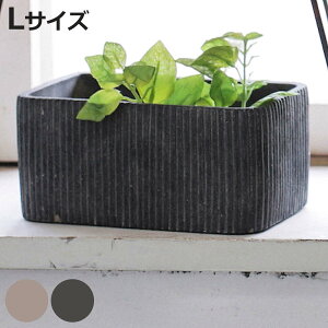 植木鉢 チルダ レクトポット L ガーデンポット ( プラントポット プランターポット 鉢 鉢植え セメント ポット 穴あり フラワーポット 水抜き穴 インテリア 植え替え おしゃれ 観葉植物 多