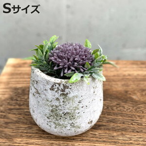 Aؔ XeB[N GbO|bg S a11cm t[|bg i vg|bg v^[|bg  A Zg |bg   CeA Aւ  ϗtA 