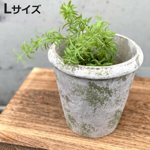 Aؔ XeB[N RjbN|bg L a16cm t[|bg i vg|bg v^[|bg  A Zg |bg   CeA Aւ  ϗtA 