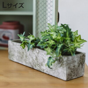 Aؔ XeB[N Ng|bg L 30cm i vg|bg v^[|bg  A Zg |bg  t[|bg  CeA Aւ  ϗtA A