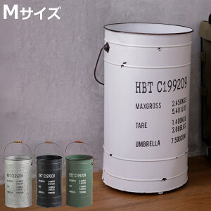 P y[J Xg[W MTCY a23.5cm i 42cm AuX^h P JT Pu ֎[ AeB[N  [ fBXvC   RpNg X 