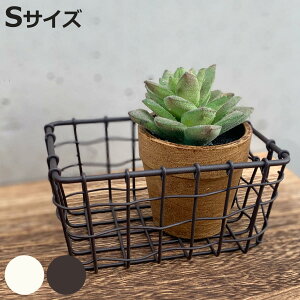  XEF XNGAoXPbg S 14×s9×7cm i  [ oXPbg C[oXPbg X ACAoXPbg JS p^ C[ ACA [oXPbg 