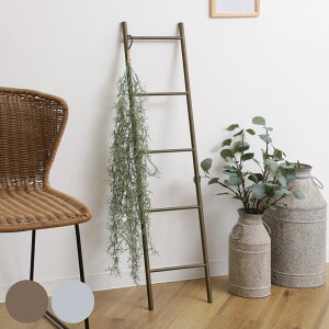 ͂ I[ig OfB[ X_[ i K[fjOG uL ACA _[ fBXvC  IuWF | GNXeA G K[fI[ig  x_ 