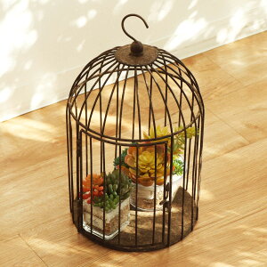  BeB[ o[hP[W nMO|bg i v^[X^h t[P[W ԑ  ACA t[  O P[W u ݂邷 ݂艺 A ϗtA  t