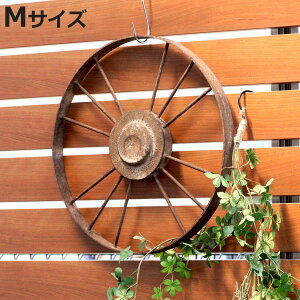 K[fI[ig BeB[ zC[ M i K[fjOG ԗ ACA ACAzC[ a40cm | GNXeA G   x_ K[fjO CeA fBXv