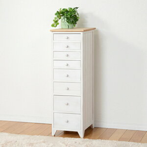 `FXg 8i Vr[Ebh 31cm i  [`FXg [ o Lrlbg TCh`FXg VR i o[ i`FXg ؐ zCg i`  j y