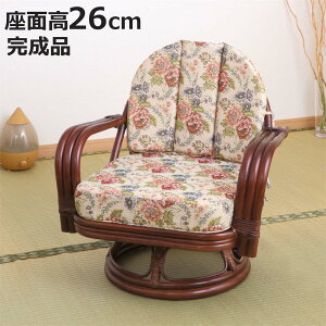  ]֎q ʍ26cm ԕ y _[NuE i ֎q `FA A[`FA _CjO  ِ ^ ]֎q | ]`FA ] NbV [`FA  CX j