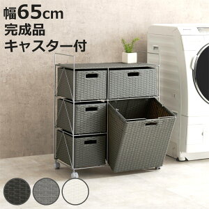 h[S 65cm 3i o LX^[t i i h[ S E߃JS JS [ `FXg oXPbg h ^ _[NuE O[ zCg Ƌ jy3980