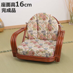  ]֎q ʍ16cm ԕ y CguE i ֎q `FA A[`FA _CjO  ِ ^ ]֎q | ]`FA ] NbV [`FA  CX j