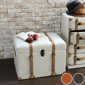 [Xc[ gN `FX^[ 60cm i gNx` G gNXc[ ֎q `FA \t@ {bNXXc[ [{bNX t^t jy3980~ȏ㑗z