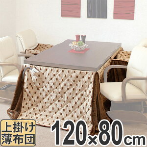 zc nC^Cv |zc g^ 120cmp i R^czc  zc ` ԂƂ xzc R^c x ӂƂ |zc rp  jy3980~ȏ㑗z