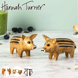  Hannah Turner RVE i ni^[i[ RVE \gybp[{g  XpCX{g  傤 e u e P[X u  jy3980