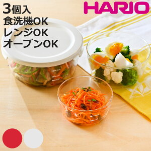 nI ۑe ϔMKX  3 300ml 600ml 1.2L i HARIO KX dqWΉ H@Ή I[uΉ { ϔMe ۑ e KXe Hiۑ u ςݏd ϔM q