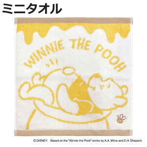 ~j^I 25×25cm u[v[ ܂̃v[ i ^I 100 @^I @ ^InJ`  Disney 25×25 oXpi fC[^I oXObY v[ jy3980~ȏ㑗