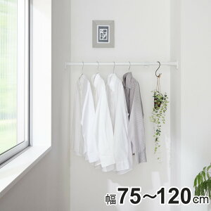 ˂_ 50M t@75`120cm WbL i ς_  Lk_ ς _ [ [pi  R[g| ˂ ˂|[  Œ N[[bg   