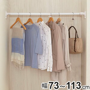 ˂_ tF73`113cm  ˂ςX[p[ɑ|[  i ς_ ˂ ς _ ˂|[ ς|[  Œ  Ԏ[  d؂ |[ Lk