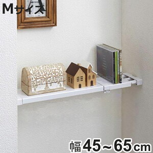 ςI ˂ςtbgXI 12cm M tF45`65cm i ˂[ [bN ˂I Lk I X ^ It s11.5 [ [ ς_ fBXvCbN 