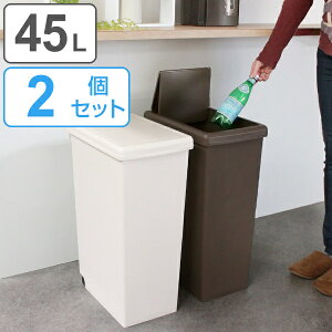 45l プラスチック 45リットル スリム ゴミ箱 ごみ箱 通販 価格比較 価格 Com