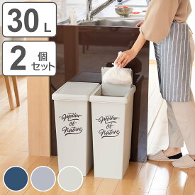 ゴミ箱 30L 同色2個セット スライドペール アースカラー （ 30リットル 30l スリム スライド蓋 ごみ箱 キッチン 分別 縦型 2個 まとめ買い セット 蓋つき ダストボックス キャスター付き 袋止め付き シンプル おしゃれ ）【3980円以上送料無料】