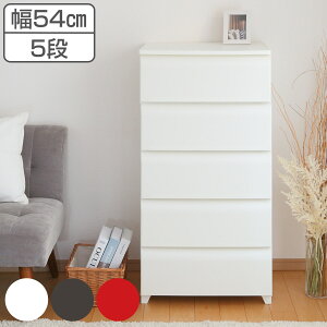 `FXg 5i 54cm m[fX Ch vX`bN i [P[X o rt [ ^X zRɂ ߑP[X [{bNX { vX`bN`FXg [`FXg 