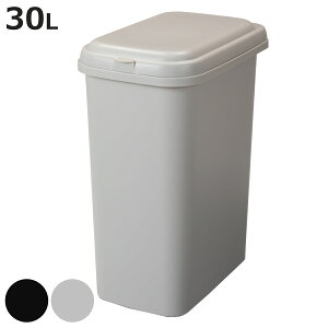 S~ 30L GRy[ i ݔ 30bg ӂt 25cm 49.5cm c^ RpNg X  Vv ܎~ߕt ܂ɂ _[NO[ ~NeB[x[W jy3980~ȏ㑗