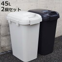 ゴミ箱 45L 同色2個セット ハンドル付きジョイントペール （ ごみ箱 45リットル 連結 屋外 ふた付き ロック 分別 無地 シンプル 袋止め付き 大容量 大きい プラスチック ）【3980円以上送料無料】