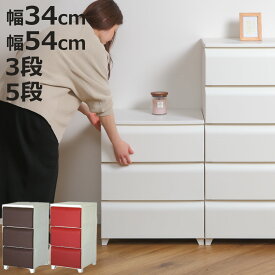 チェスト ノーデュス 幅34cm 幅54cm 3段 5段 （ 収納ケース 引き出し 脚付き 収納 タンス ホコリが入りにくい 衣装ケース 収納ボックス 日本製 プラスチックチェスト 収納チェスト おしゃれ 簡単組立 リビングチェスト ）【3980円以上送料無料】