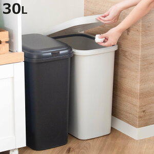 S~ 30L GRy[ ܎~ߕt Vv i ݔ 30bg ӂt 25cm 49.5cm c^ RpNg X  ܂ɂ _[NO[ ~NeB[x[W jy3980~ȏ㑗