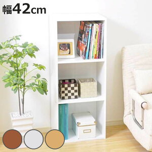 J[{bNX 42cm 3i A4[ i I[vbN [ Ƌ I bN A4Ή {I VFt rO{[h cu u uE i` zCg Vv jy3980~ȏ㑗